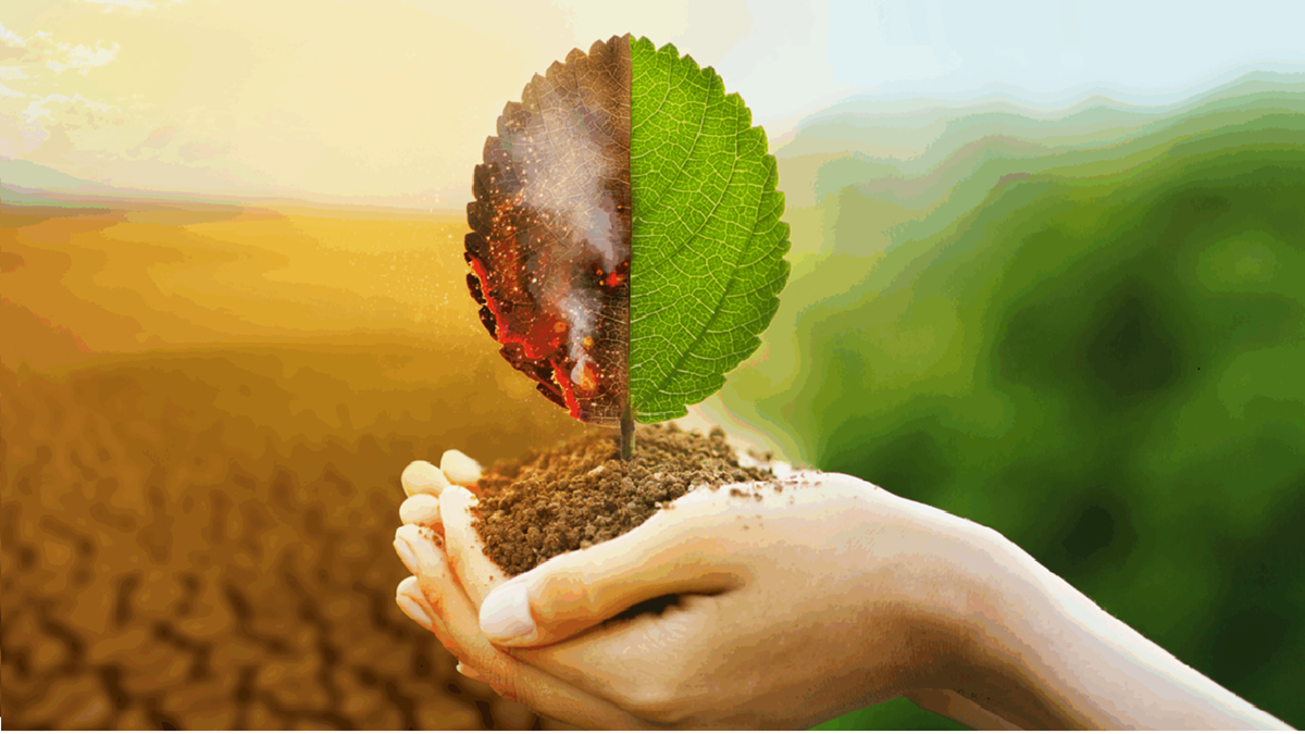 Impacto del Clima en la Vida Útil de los Fluidos Térmicos Cómo Prepararse 2.png